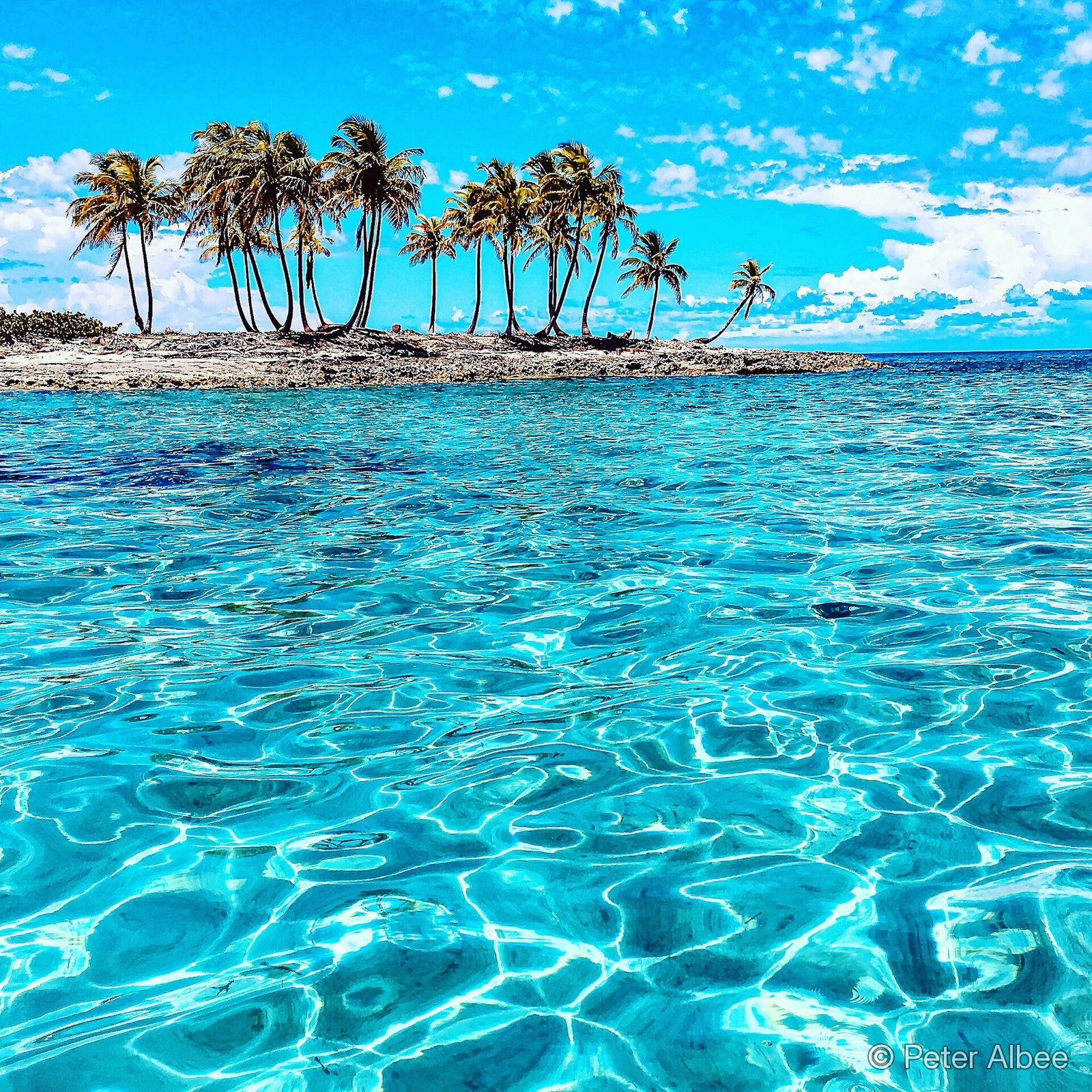 Turquoise shallows and a palm-covered out-island, 800 miles into the Bahamas chain