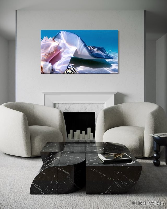 Backlit Conch Shell printed as canvas art, hung in a white lounge, fireplace — room mockup