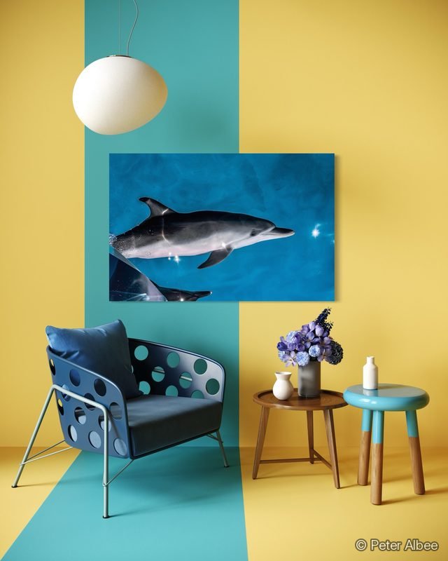 Dolphin Pair printed as canvas art, hung in a color-block living room — room mockup