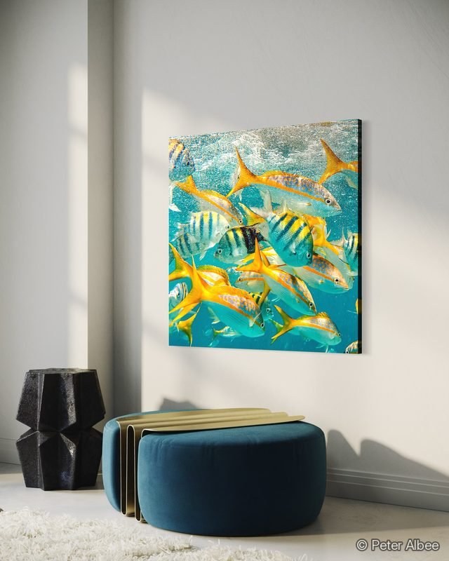 School of Fish printed as canvas art, hung in a modern living room — room mockup