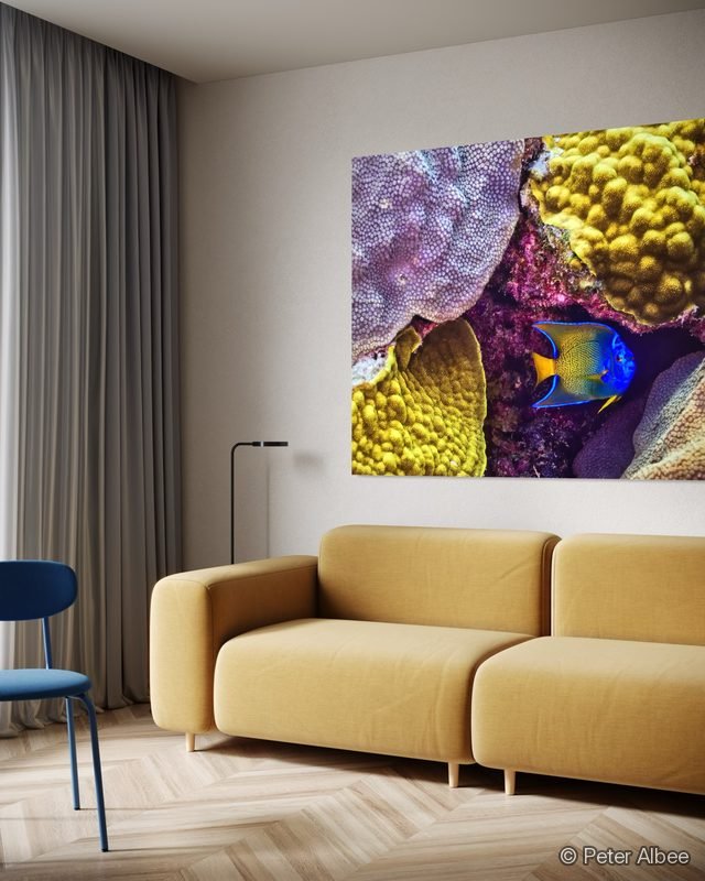 Reef Scene with Angelfish printed as canvas art, hung in a eclectic lounge — room mockup