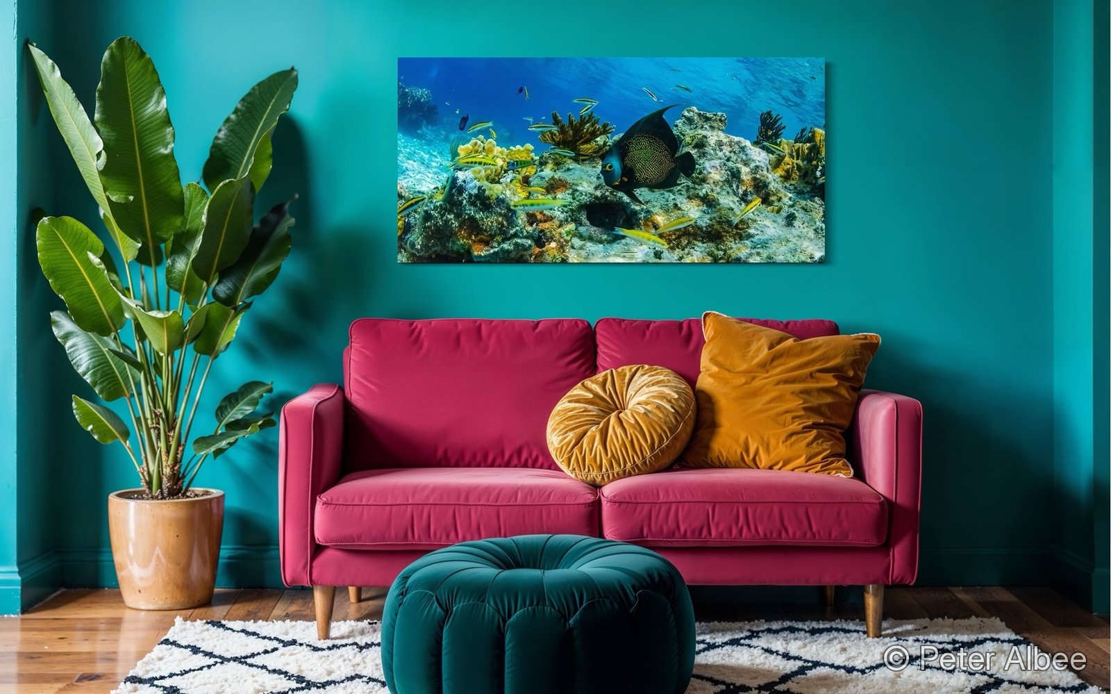 Reef scene with angelfish print displayed above a pink sofa — example room visualization