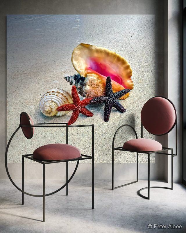 Shell & Starfish Still Life printed as canvas art, hung in a console styling vignette — room mockup