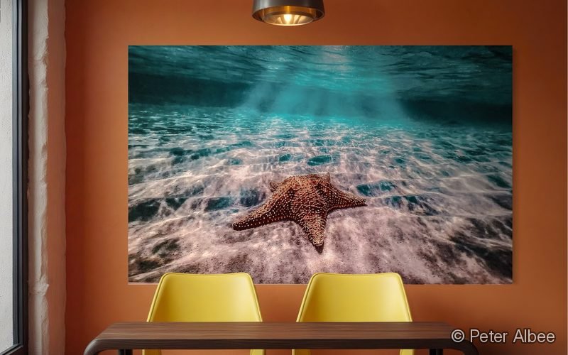Orange Starfish printed as canvas art, hung in a terracotta dining room — room mockup