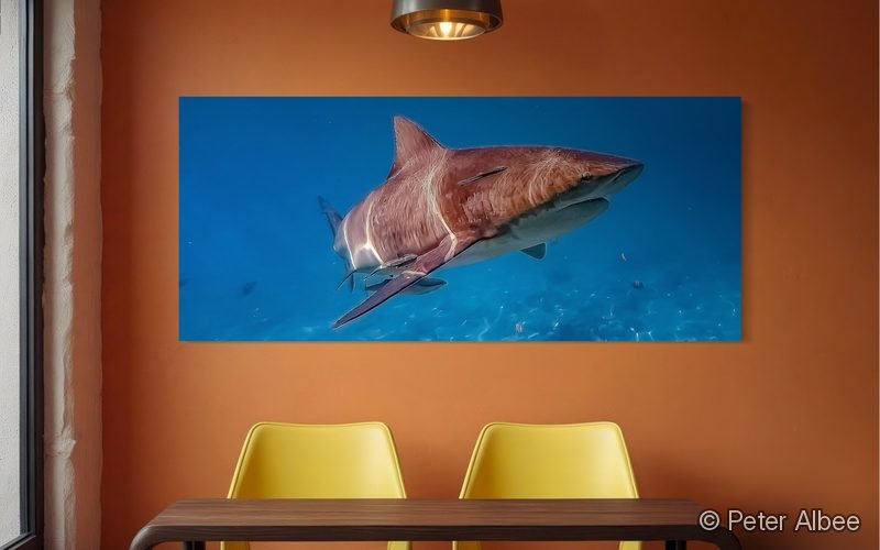 Stingray on Beach printed as canvas art, hung in a terracotta dining room — room mockup