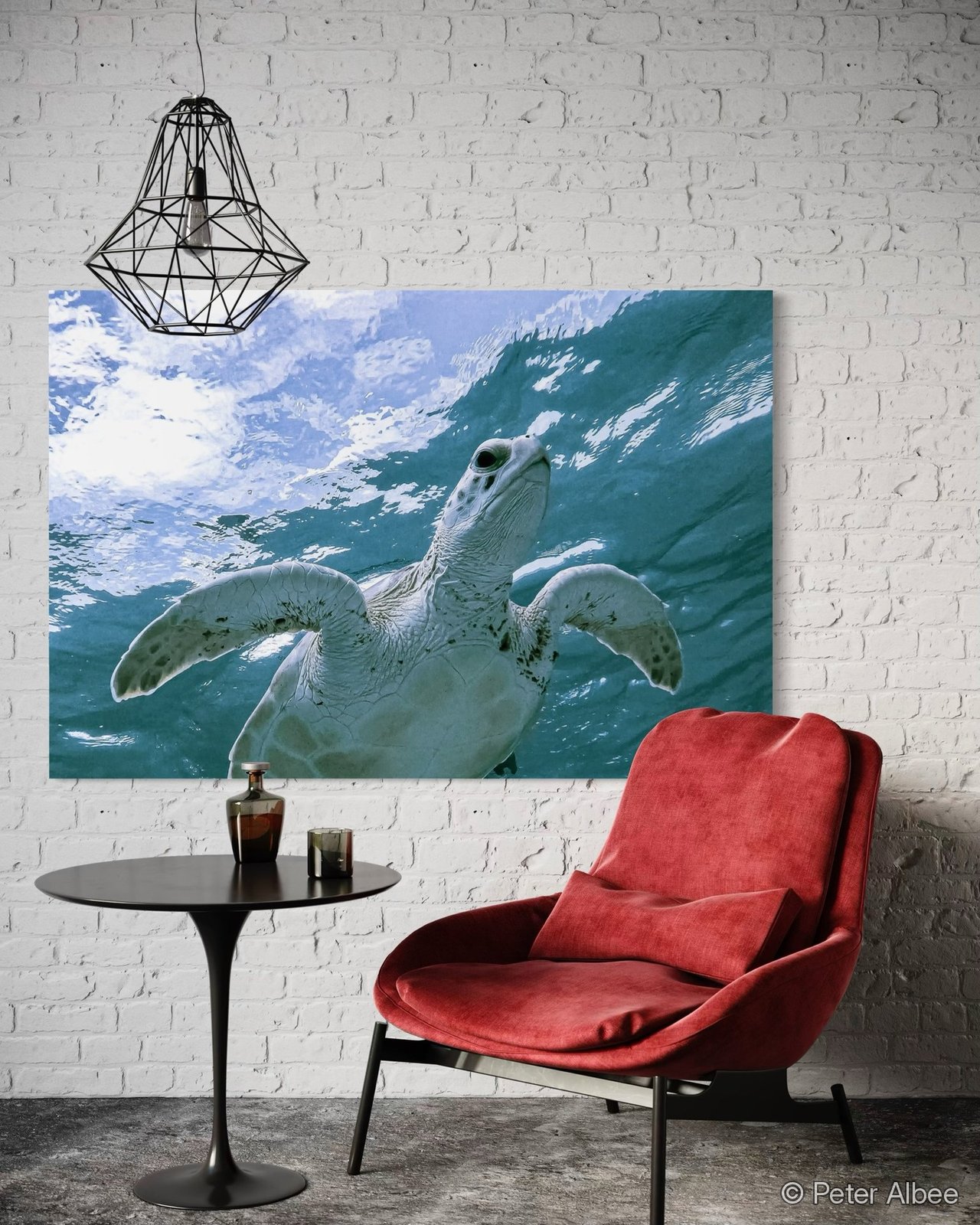 Turtle print displayed on a living room wall, room mockup
